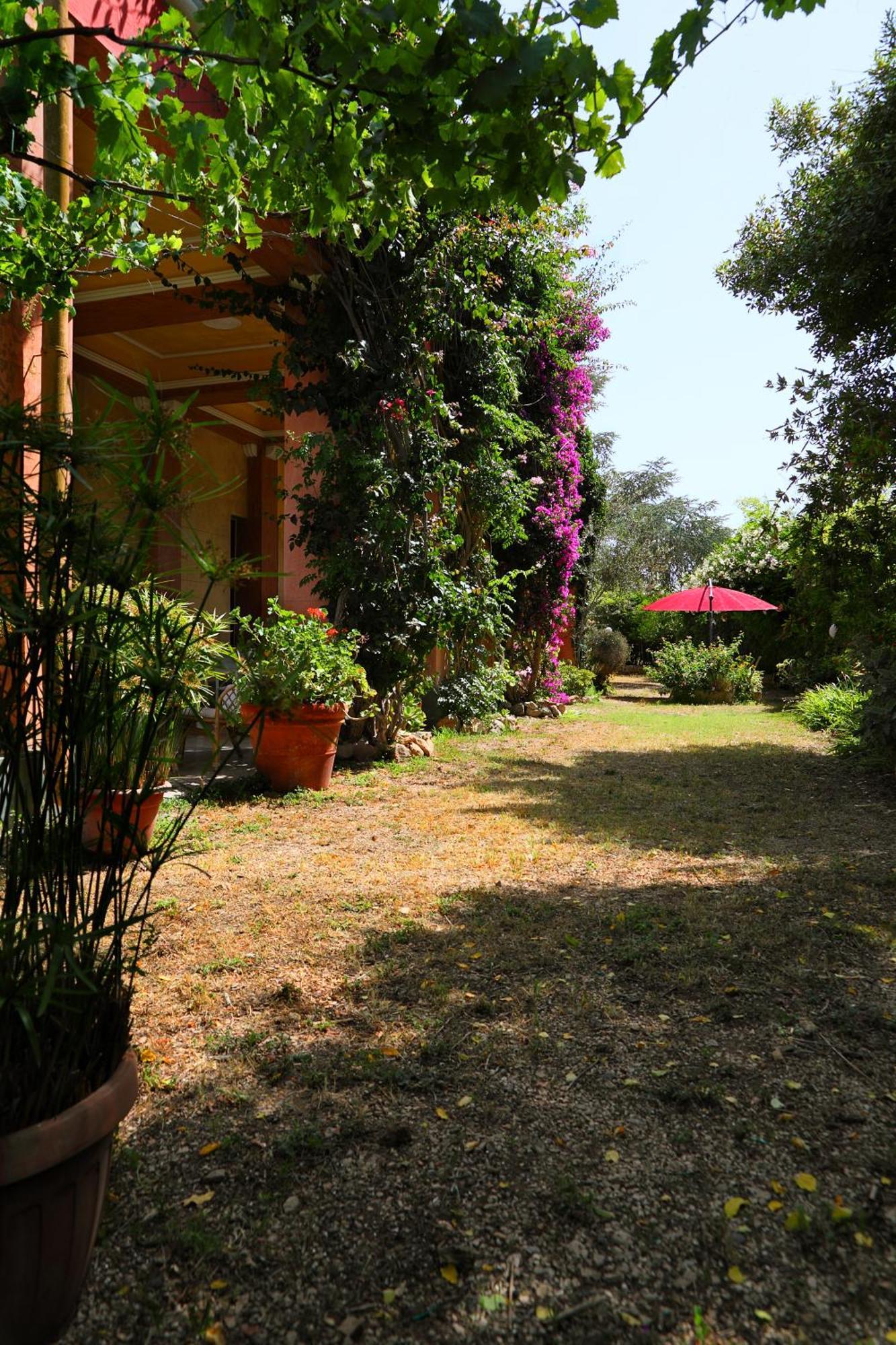 Villarancia Alezio Extérieur photo