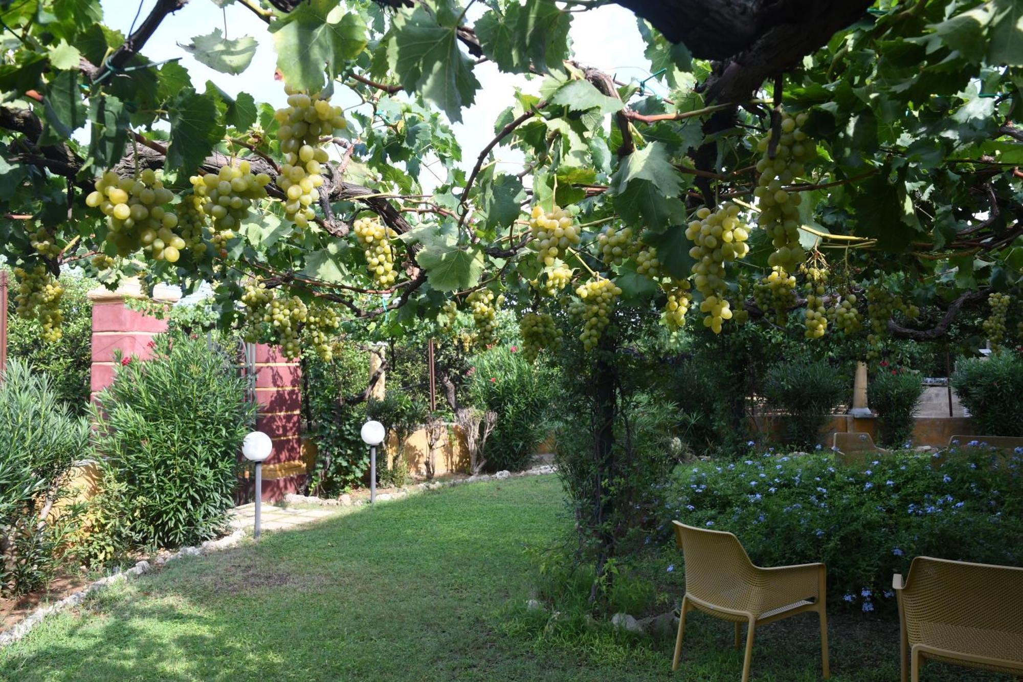 Villarancia Alezio Extérieur photo