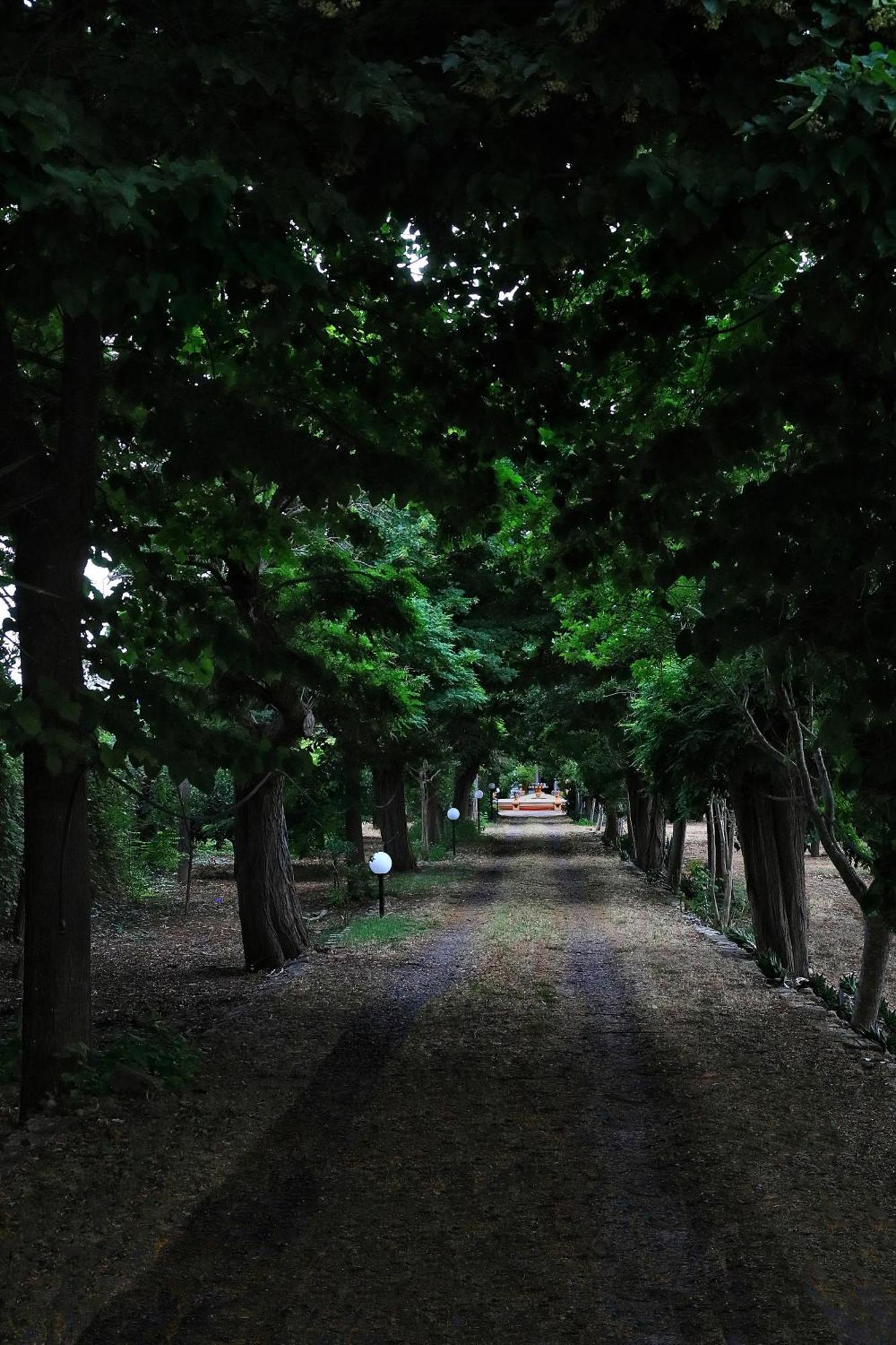 Villarancia Alezio Extérieur photo